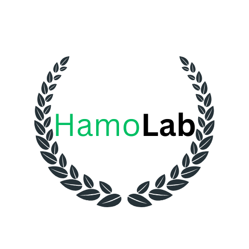 HAMOLAP
